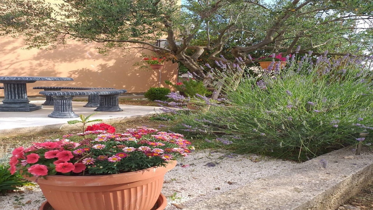 Photo of Outdoor in Bristane
