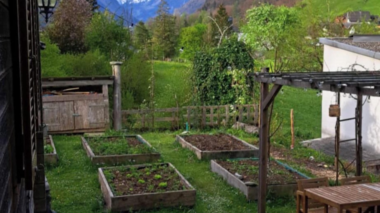 Photo of Others in Schwanden