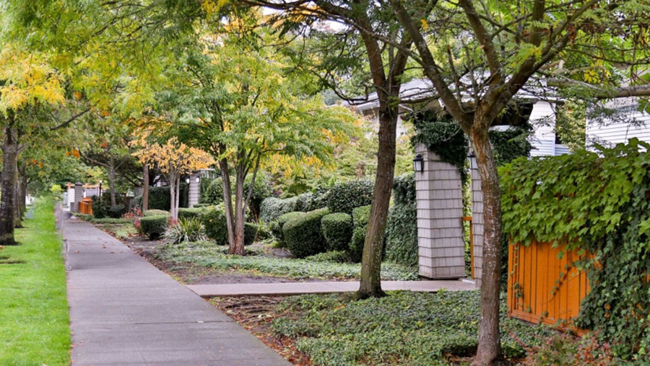 Photo of Outdoor in University District