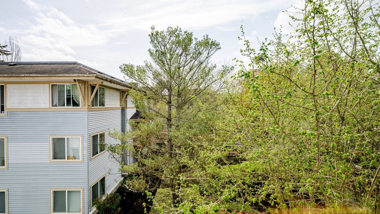 Photo of Outdoor in University District