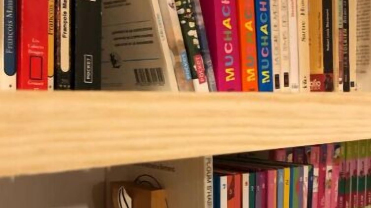 Photo of Others in Sepx