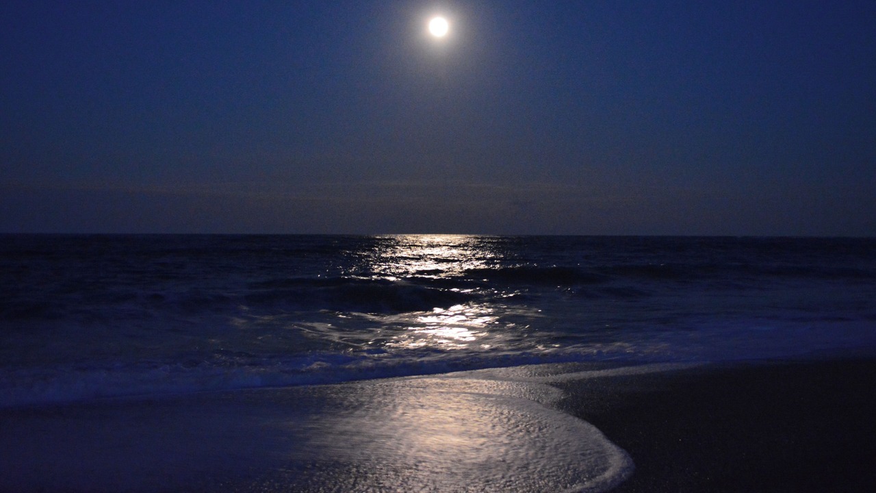 Photo of Others in Vilano Beach