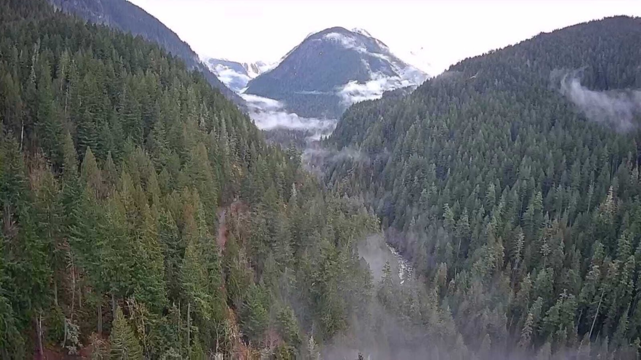 Photo of Others in Marblemount