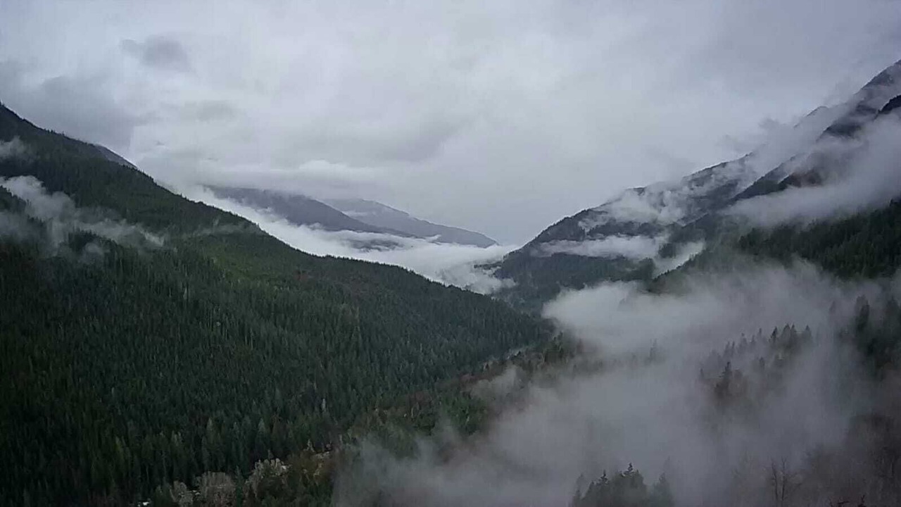 Photo of Others in Marblemount