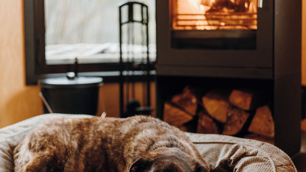 Photo of Others in Marblemount