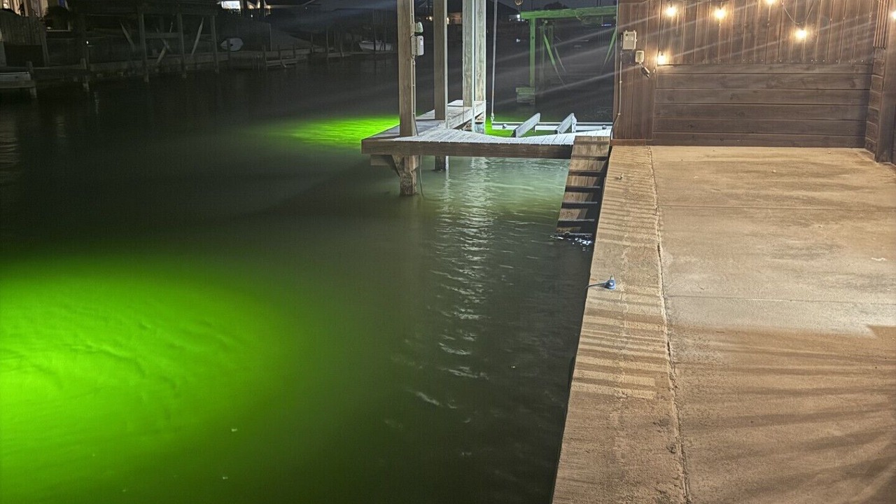 Photo of Outdoor in Corpus Christi