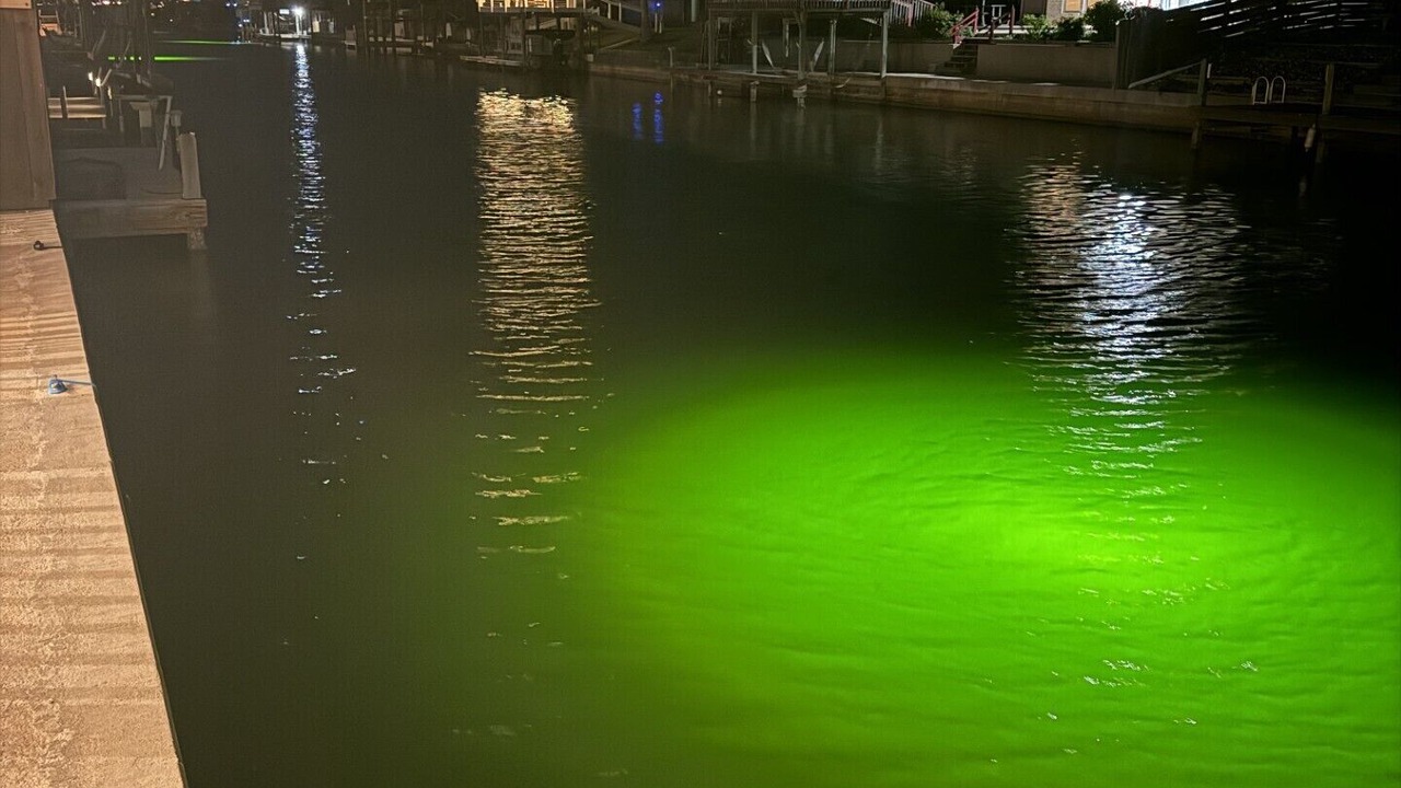 Photo of Others in Corpus Christi
