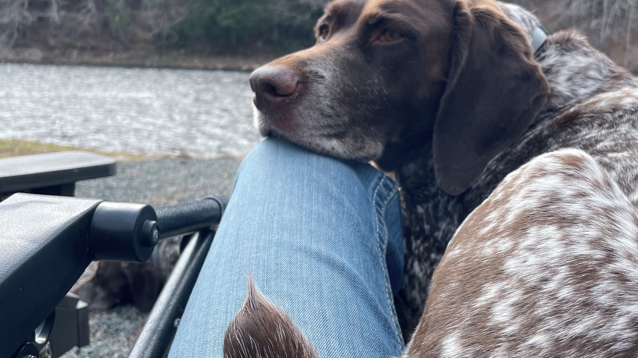 Photo of Others in Town of Hope