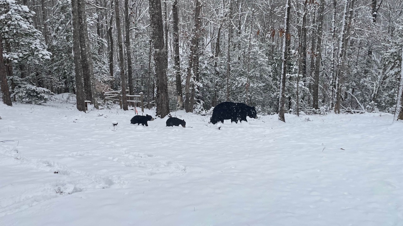 Photo of Others in Murphy