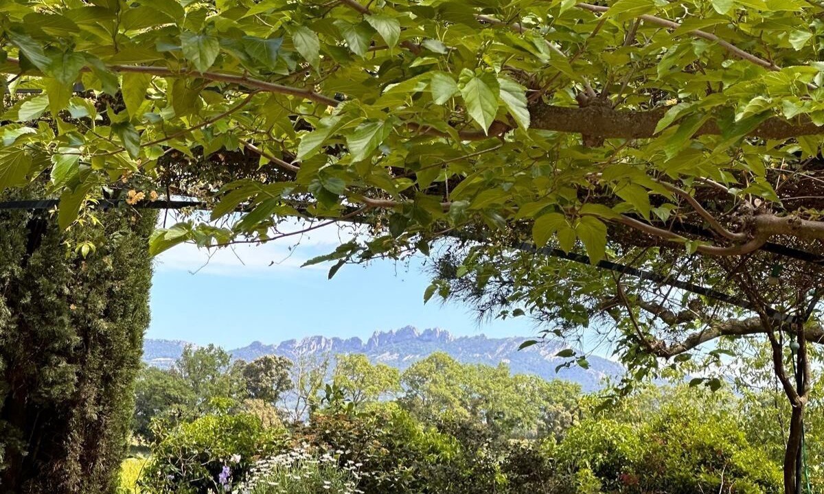 Photo of Outdoor in Travaillan