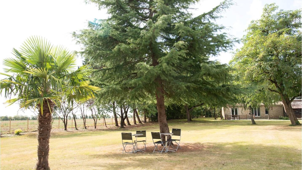Photo of Outdoor in Sainte-Gemme-la-Plaine