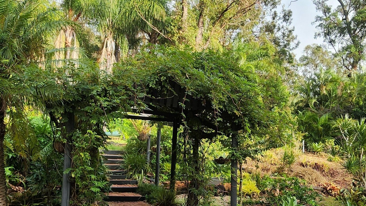 Photo of Outdoor in Oxenford