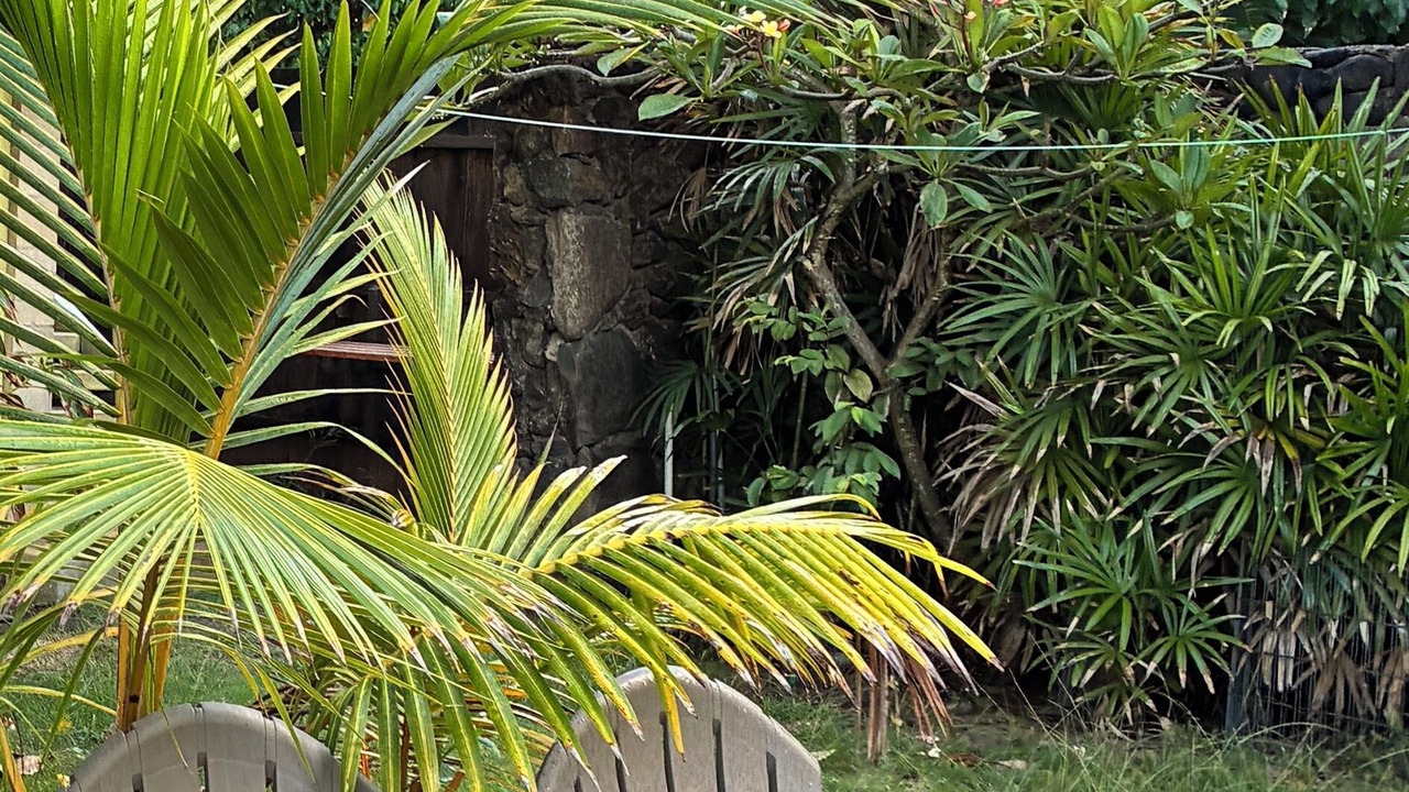 Photo of Outdoor in Pupukea