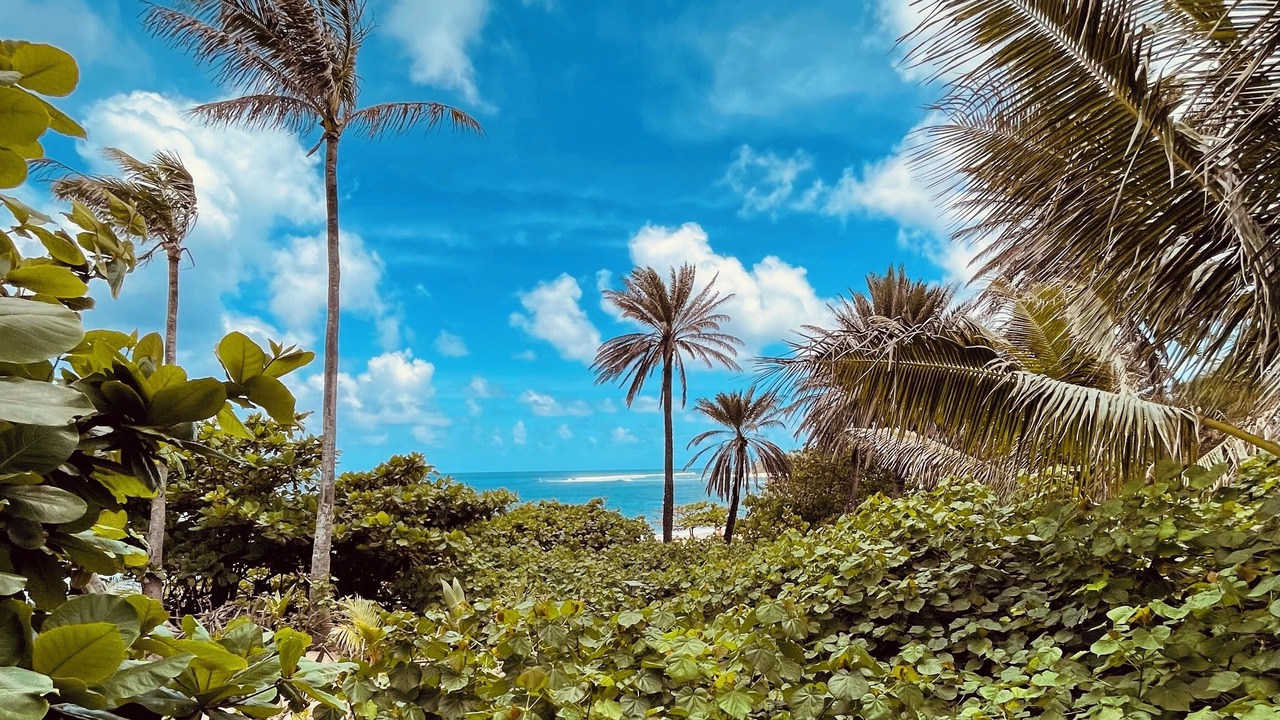 Photo of Outdoor in Pupukea