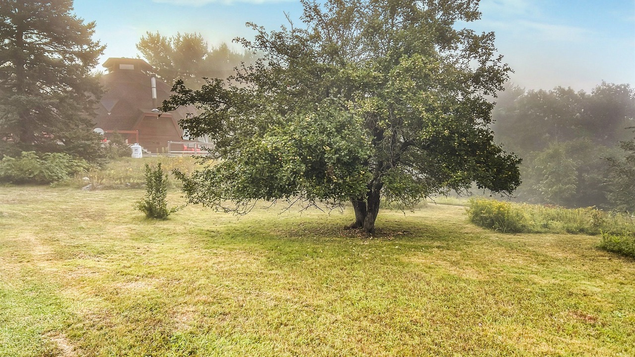 Photo of Outdoor in Franklin