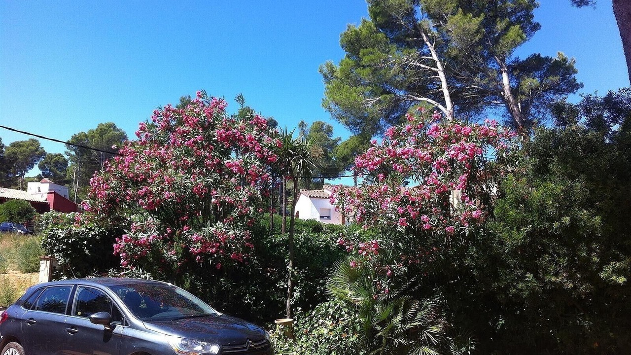 Photo of Outdoor in Pals
