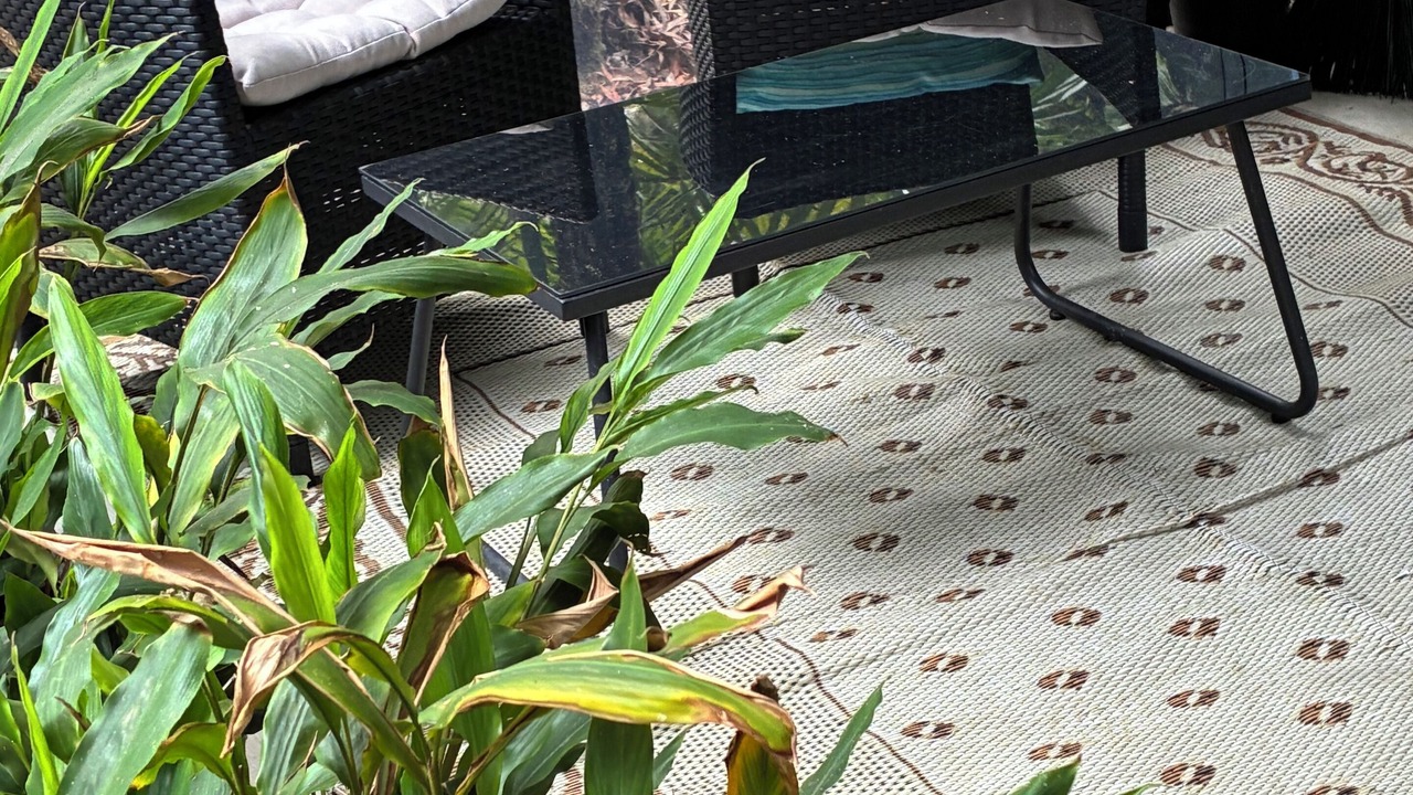 Photo of Others in Springbrook