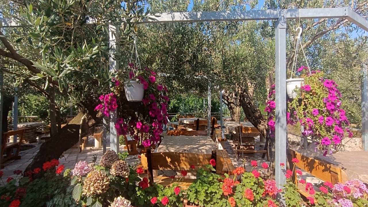 Photo of Outdoor in Rtina