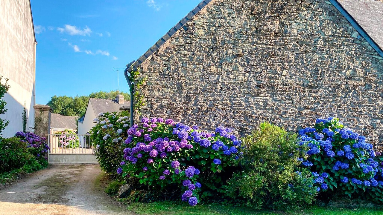 Photo of Others in Tredion