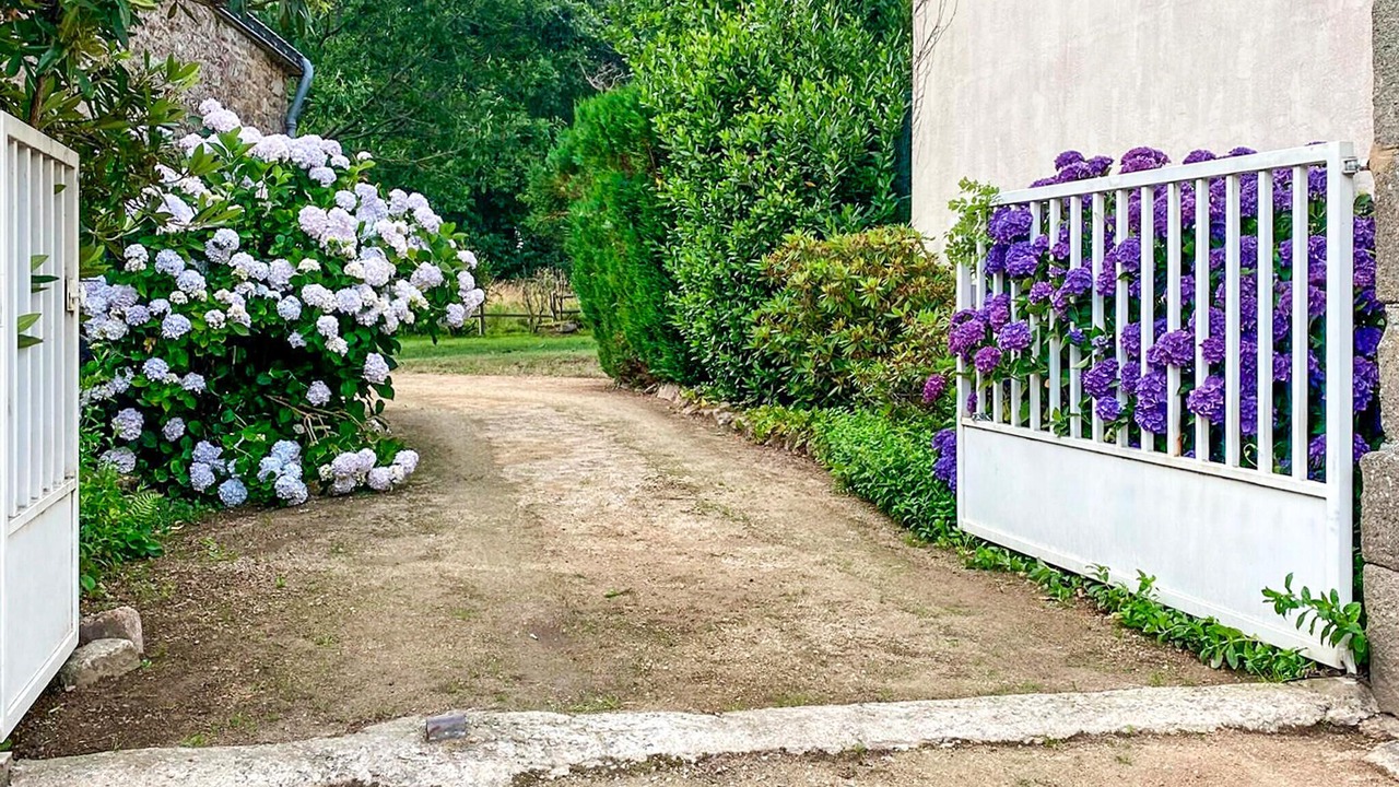 Photo of Others in Tredion