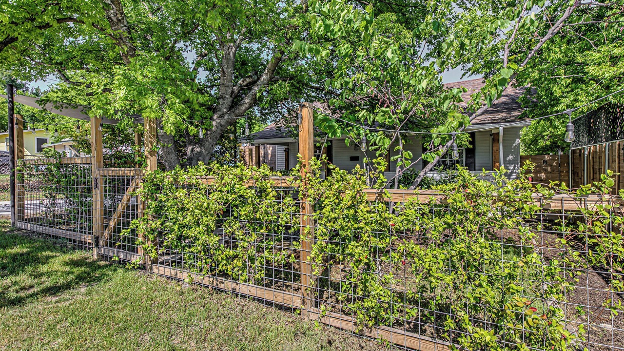 Photo of Outdoor in MLK