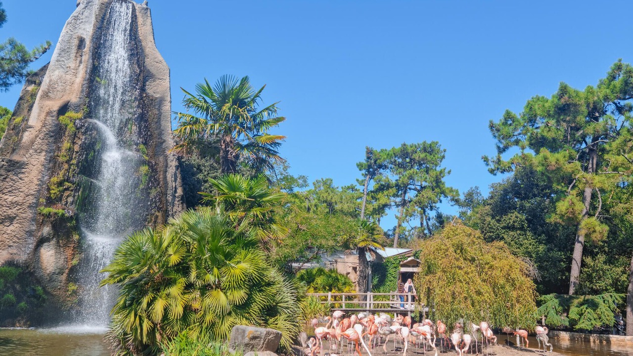 Photo of Others in Semussac