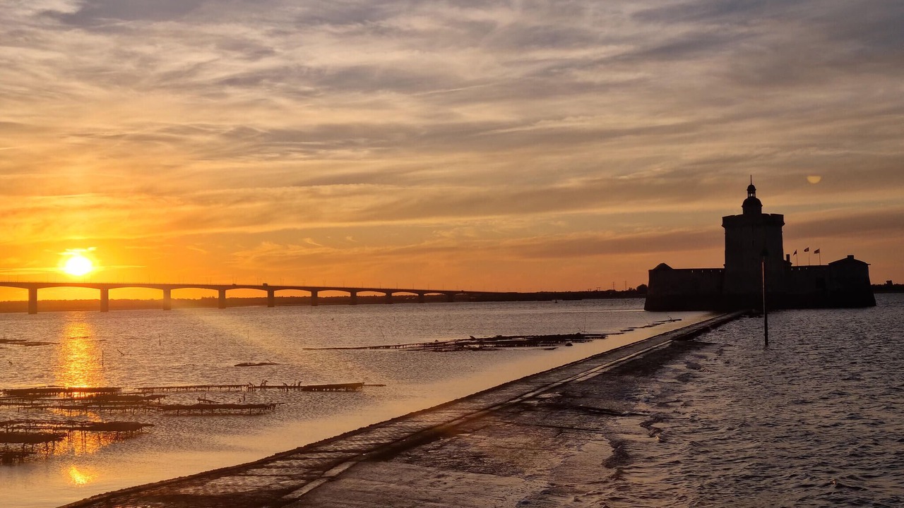 Photo of Others in Semussac