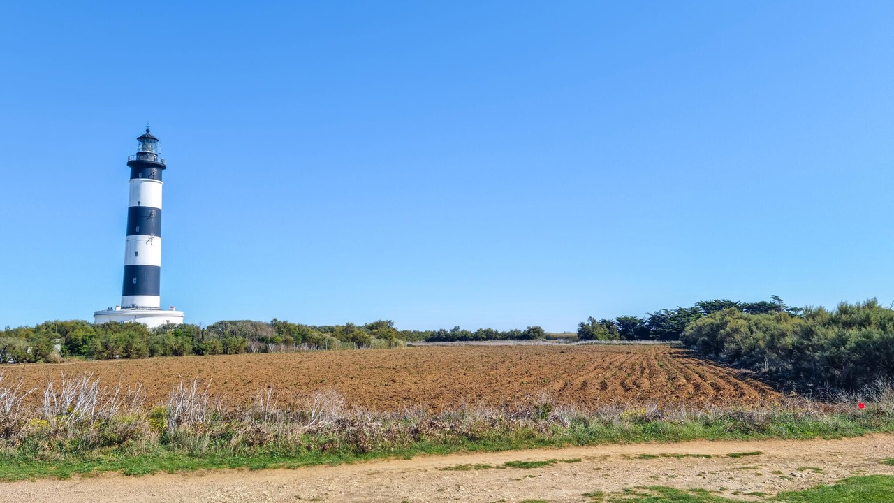 Photo of Others in Semussac