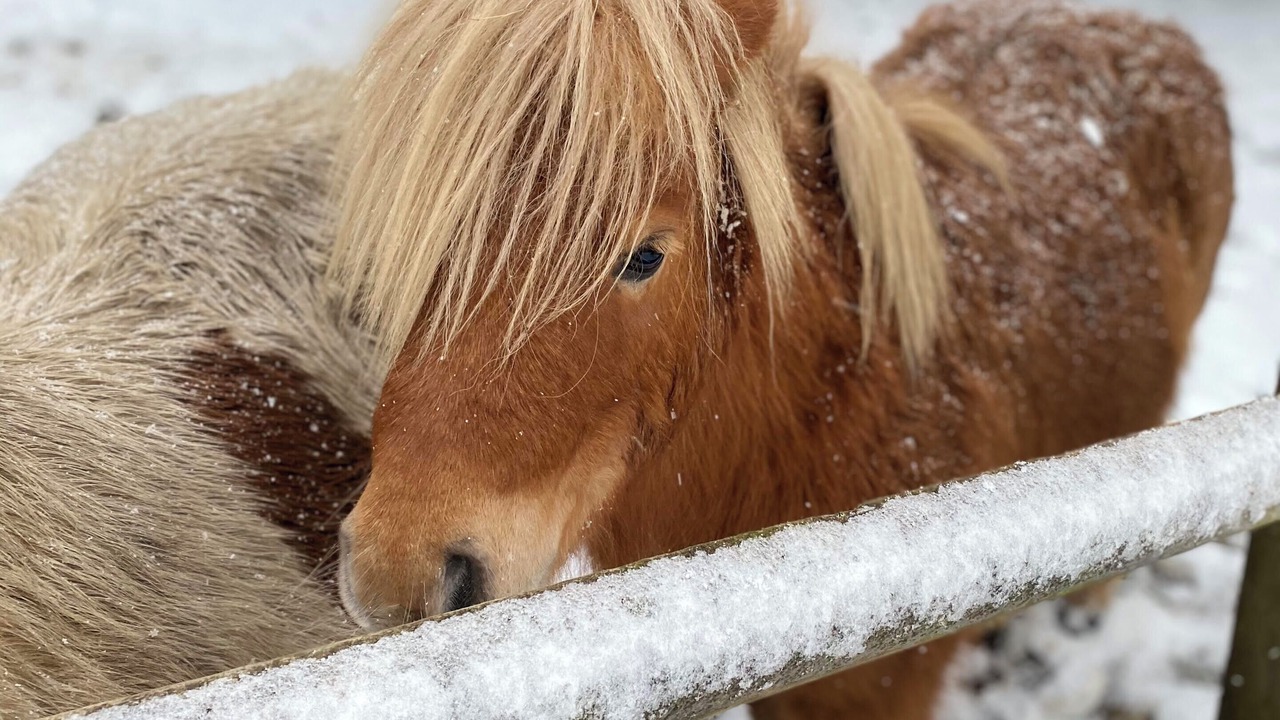 Photo of Others in Ashford