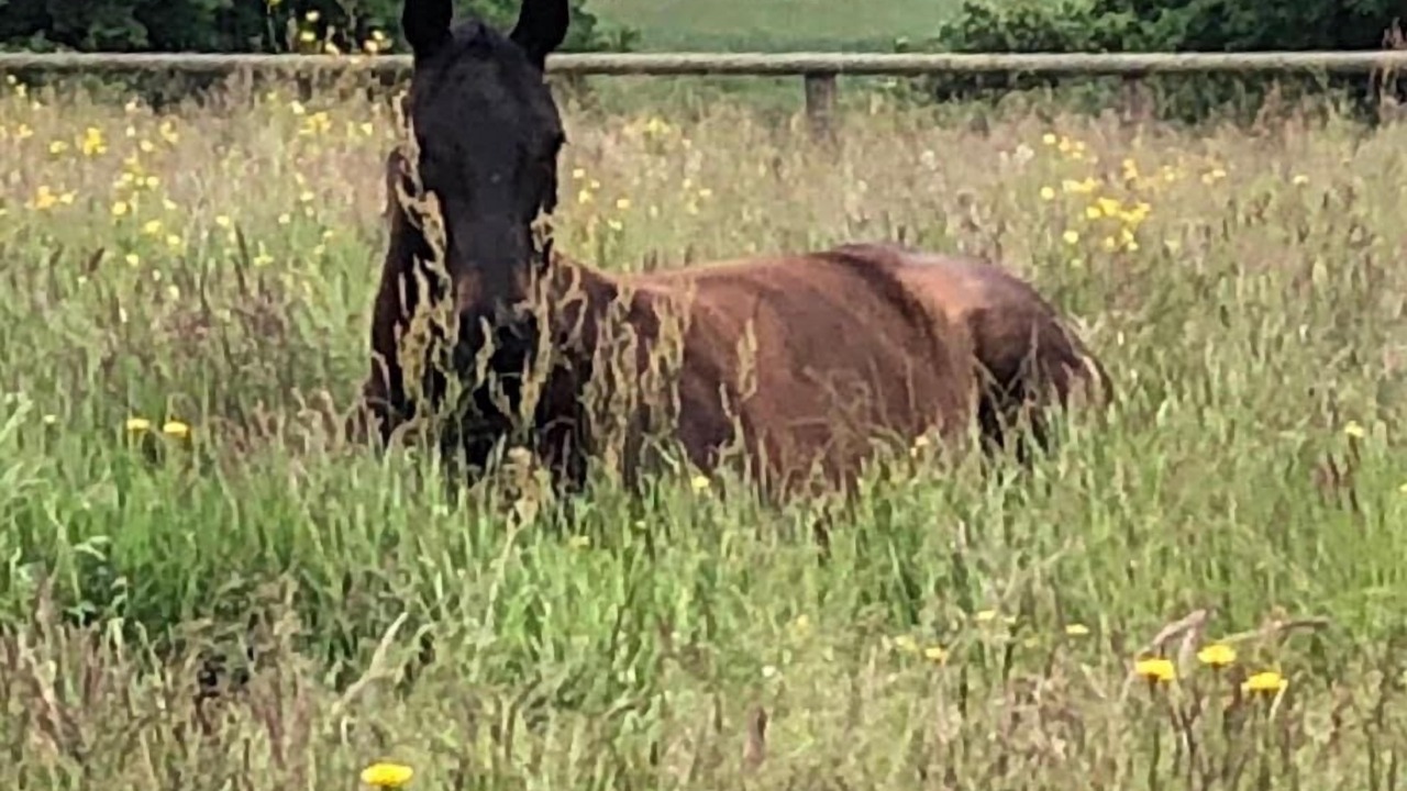 Photo of Others in Ashford