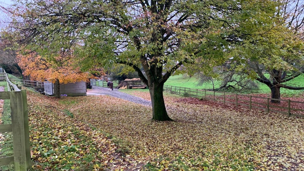 Photo of Others in Ashford