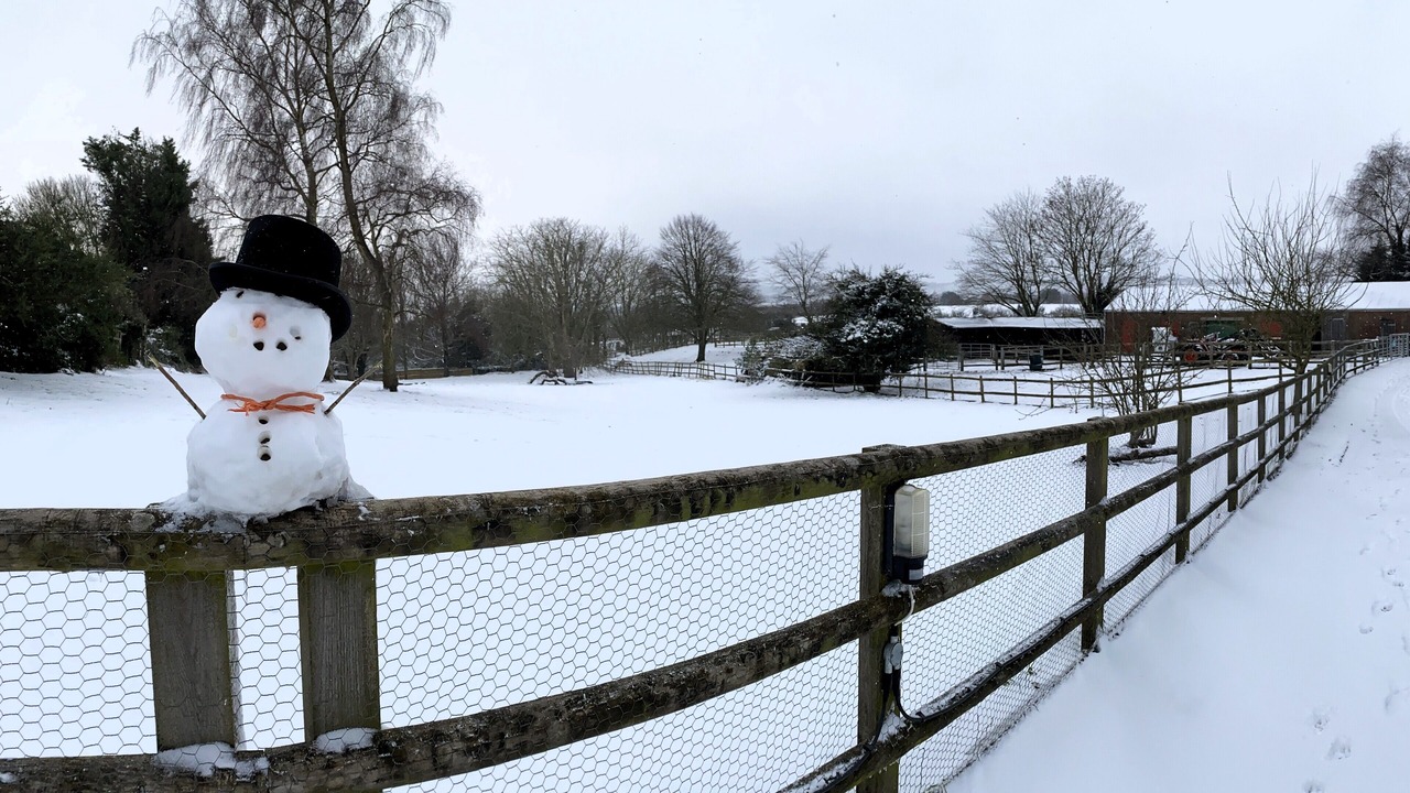 Photo of Others in Ashford