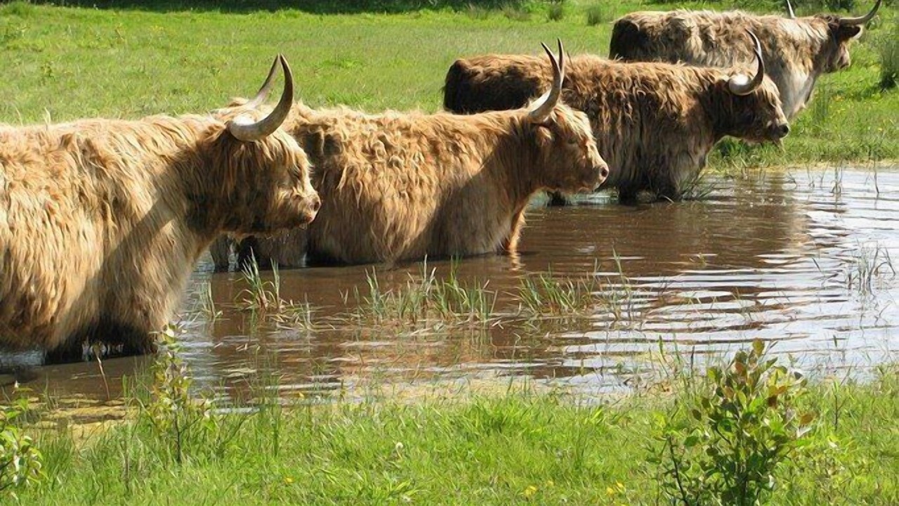 Photo of Others in Ashford