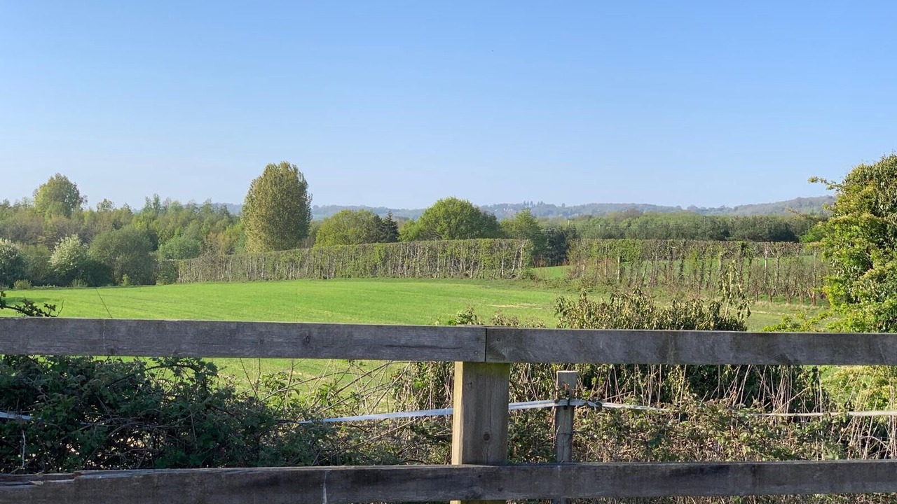 Photo of Others in Ashford