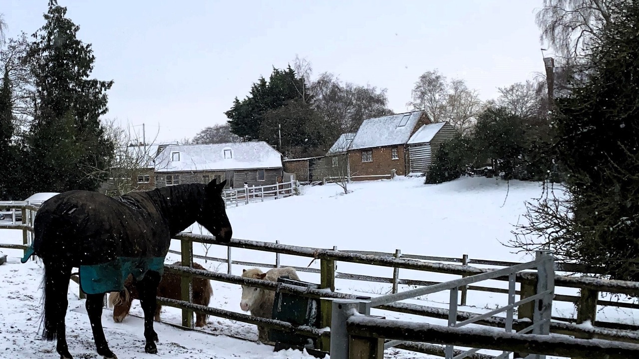 Photo of Others in Ashford