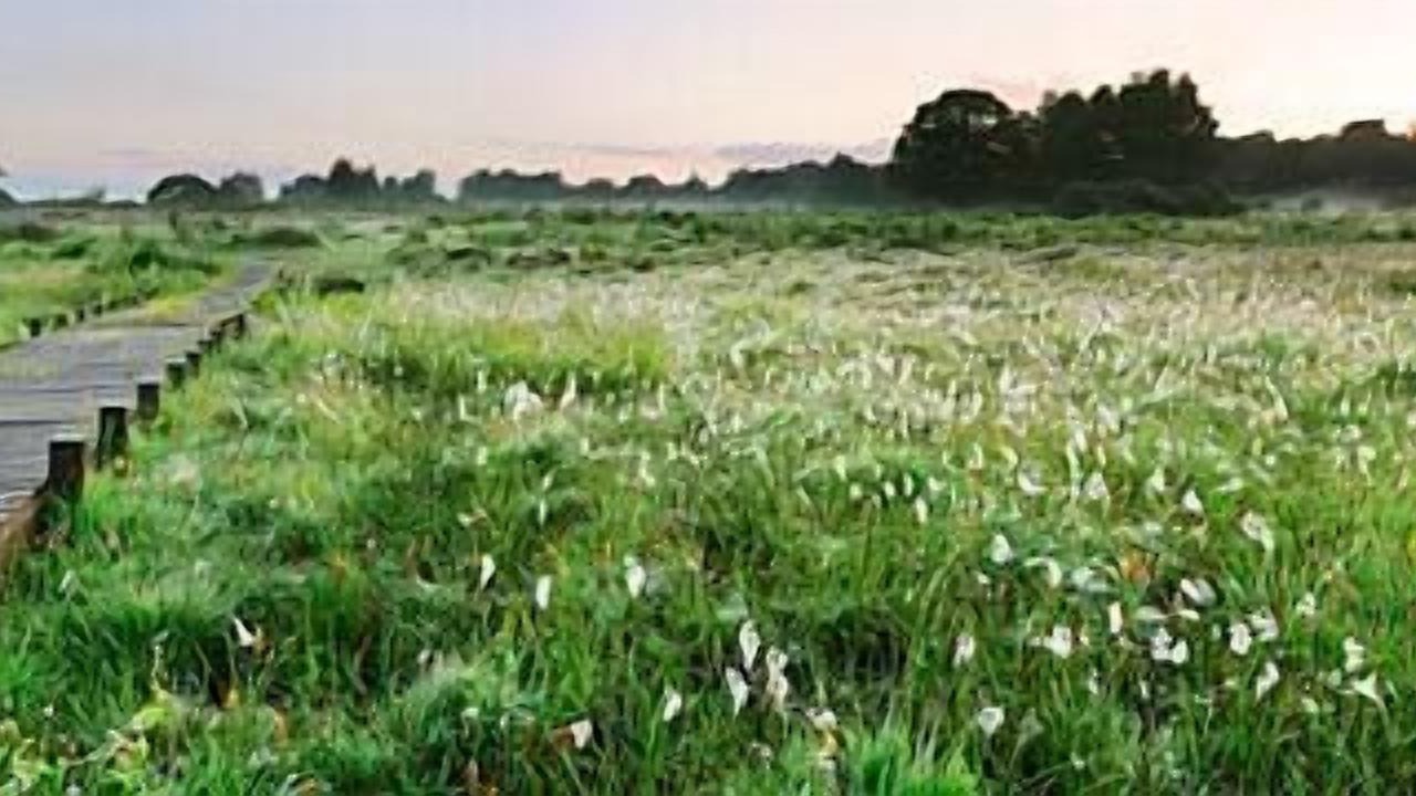 Photo of Others in Ashford