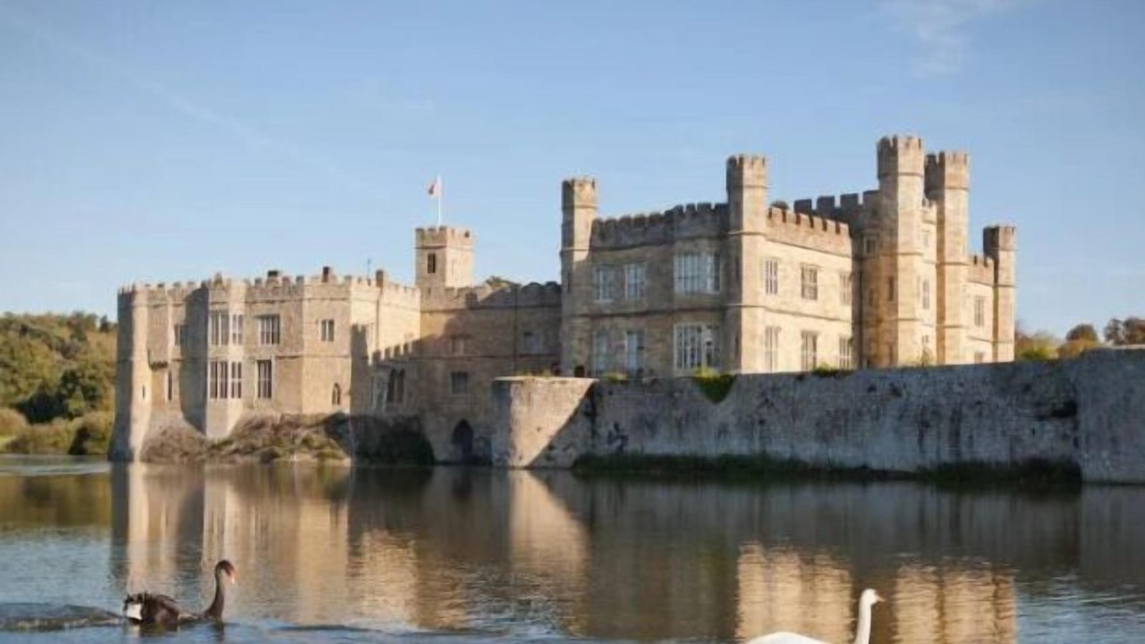 Photo of Others in Ashford