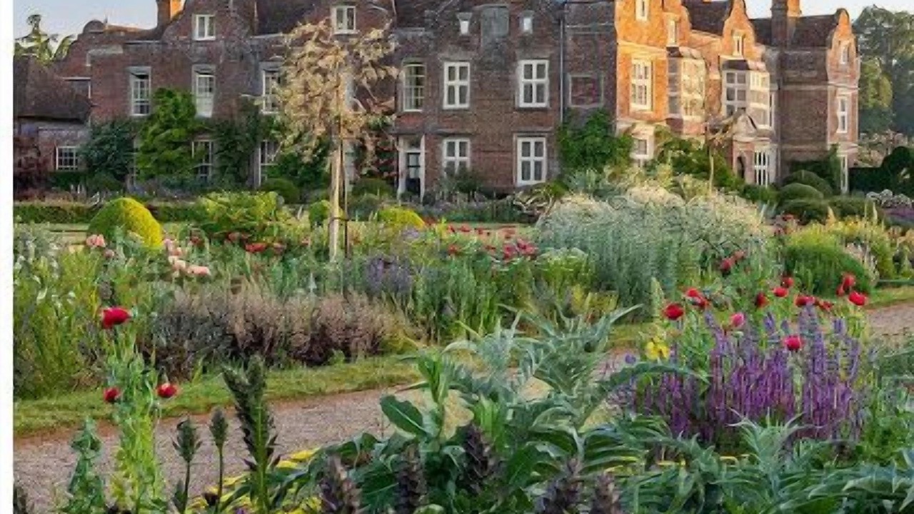 Photo of Others in Ashford