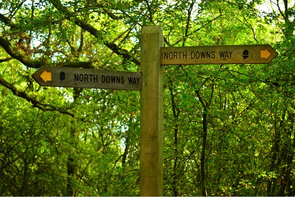 Photo of Others in Ashford