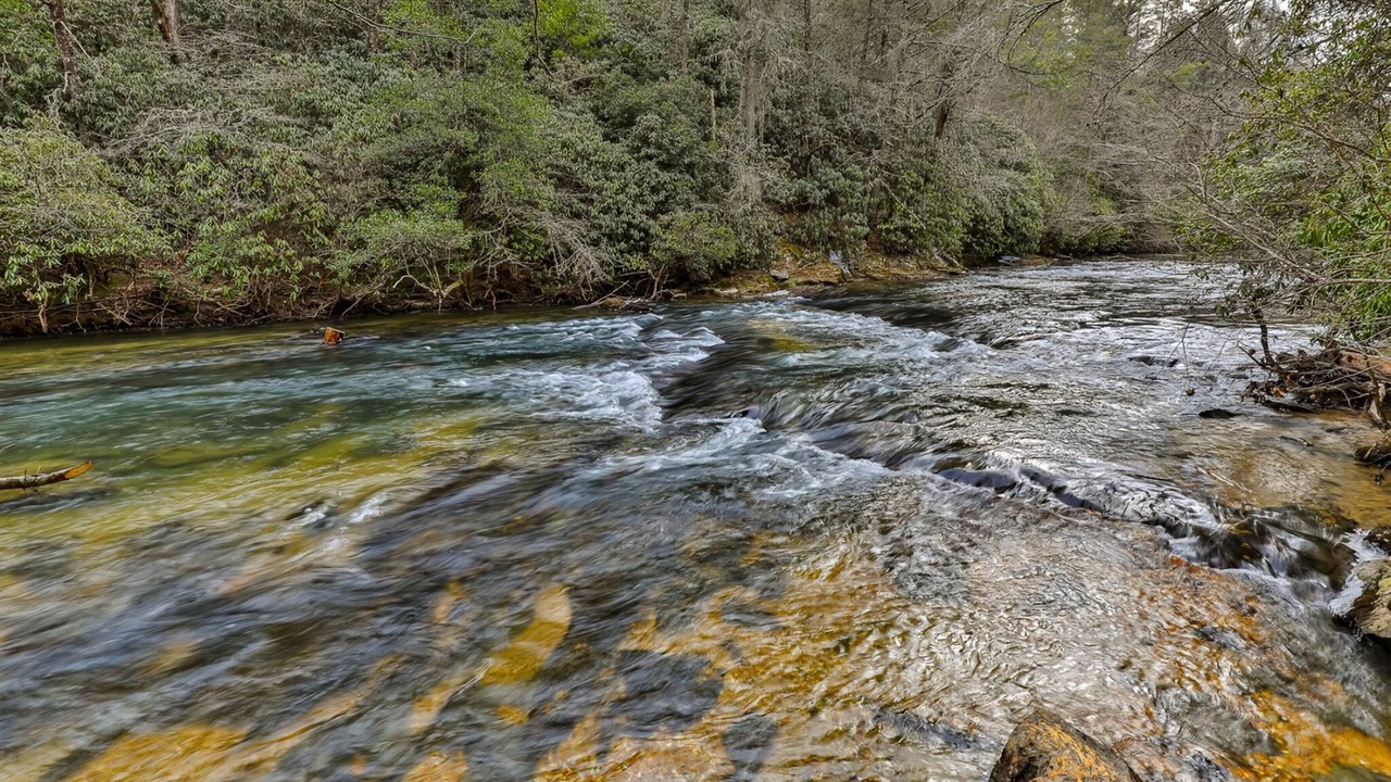 Photo of Others in McCaysville