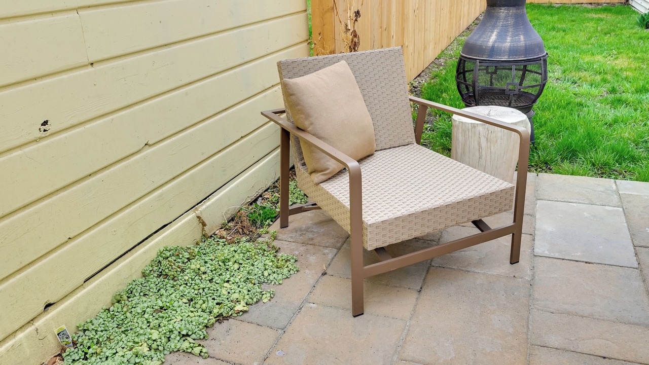 Photo of Outdoor in Corvallis