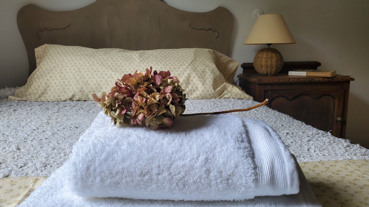 Photo of Bedroom in Cabrojo