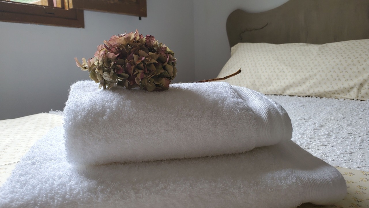 Photo of Bedroom in Cabrojo