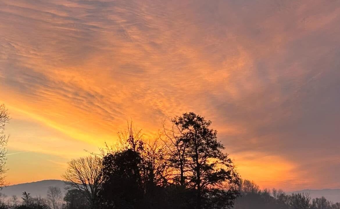 Photo of Others in Patchway