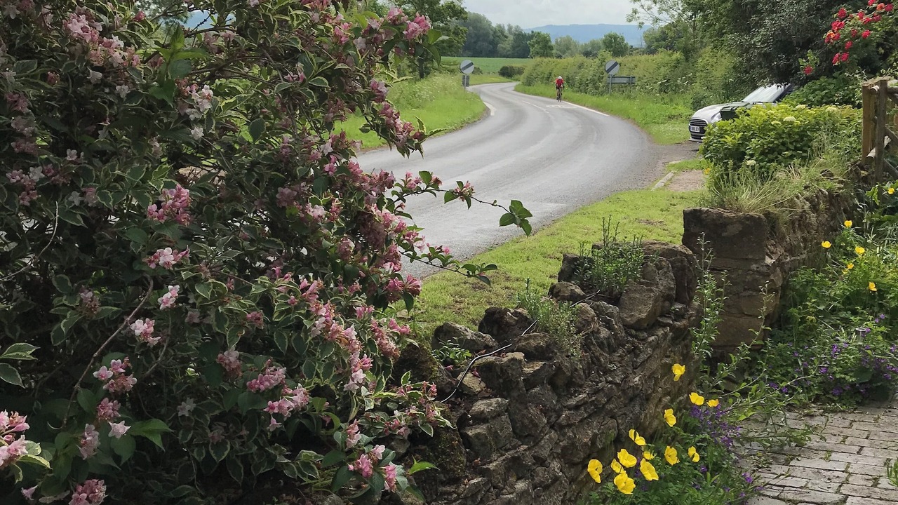 Photo of Outdoor in Patchway