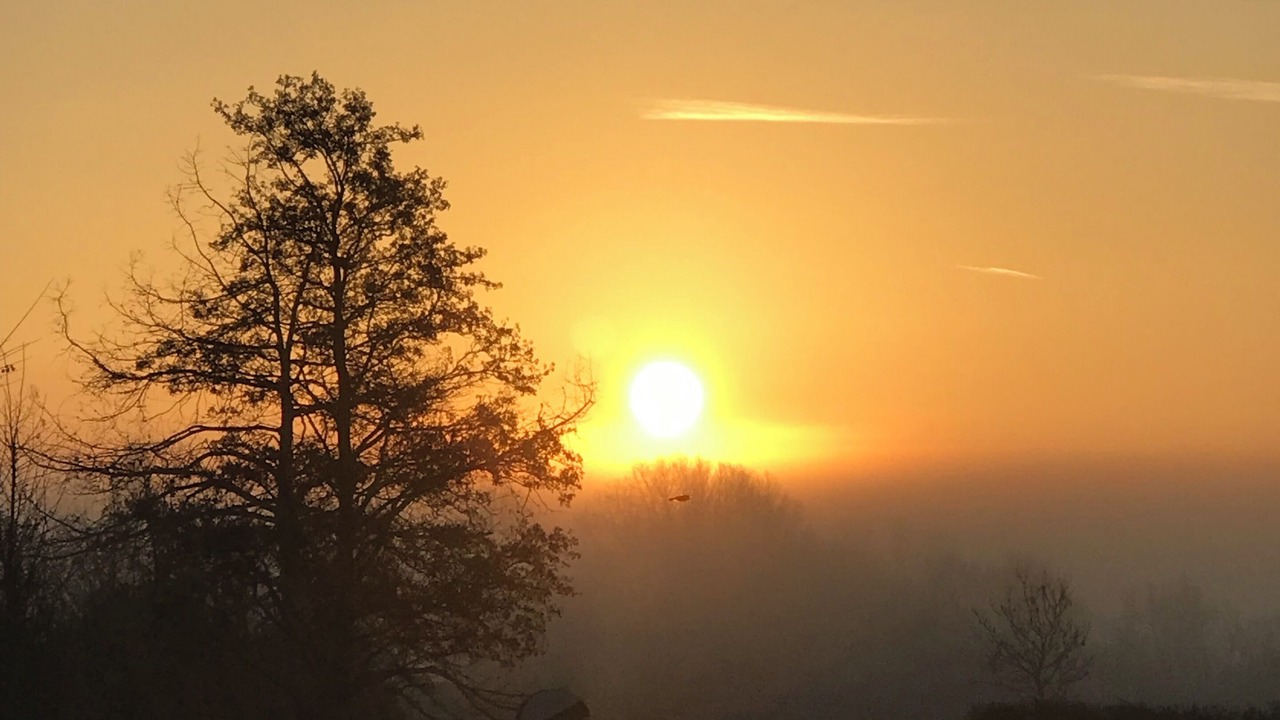 Photo of Others in Patchway