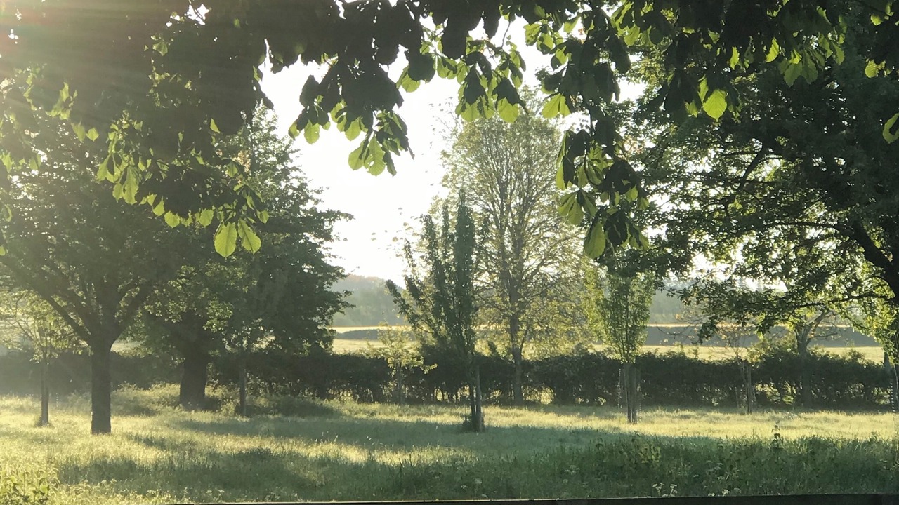 Photo of Others in Patchway