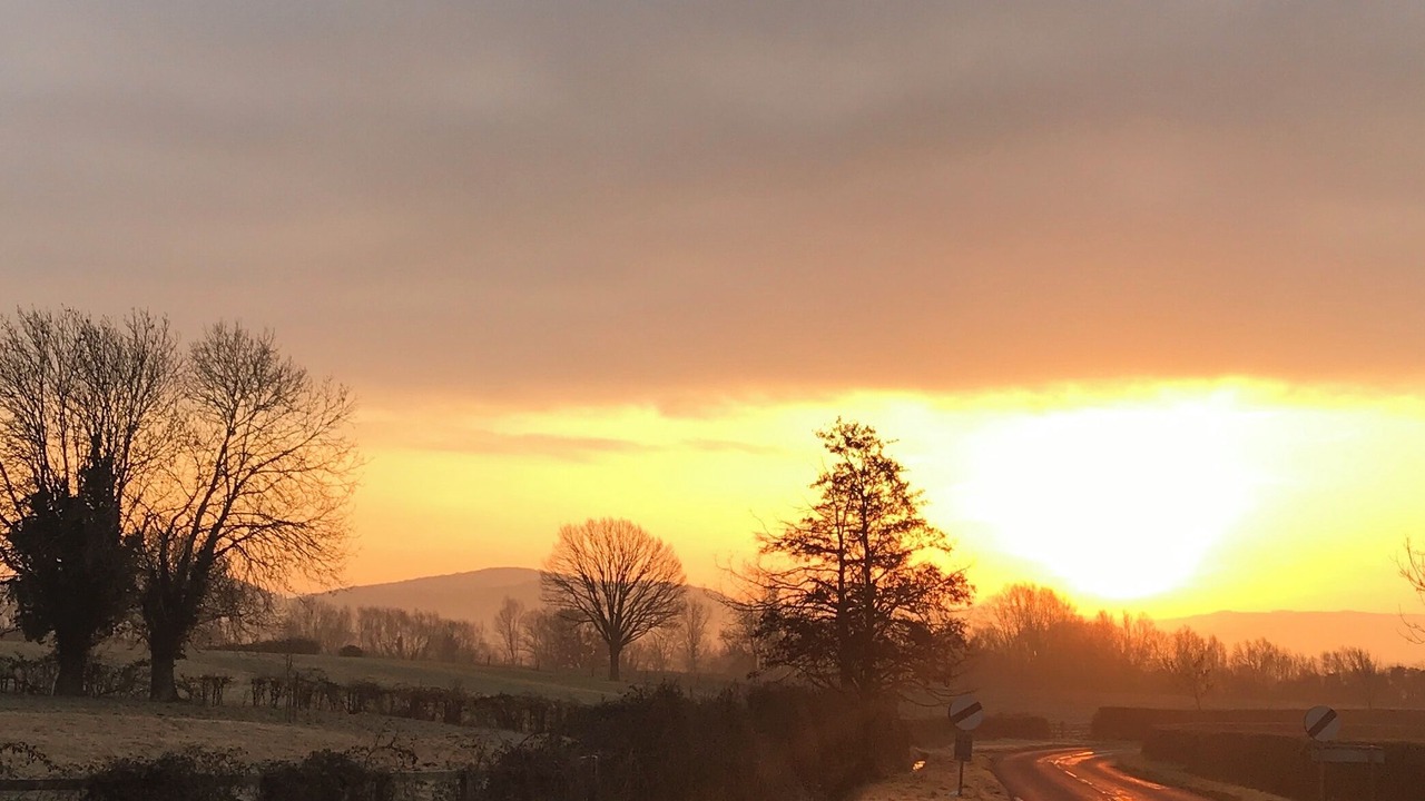 Photo of Others in Patchway