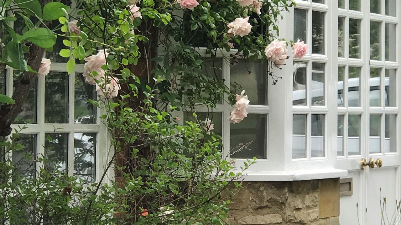 Photo of Outdoor in Patchway