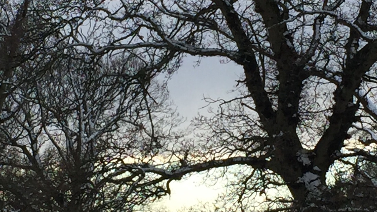 Photo of Others in Patchway